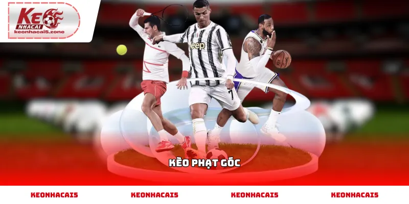 Cách đọc kèo phạt góc qua thống kê trận đấu